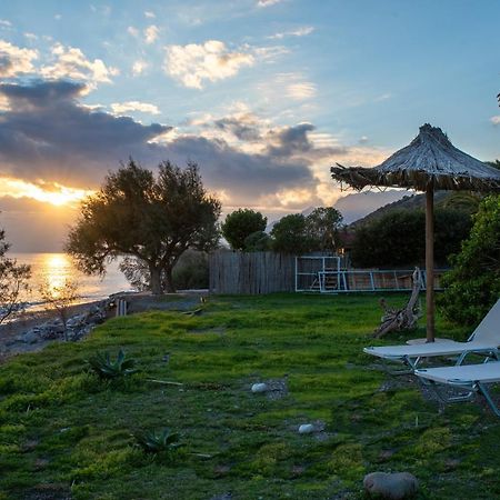 Portela Apartments Kampoula كيراتوكامبوس المظهر الخارجي الصورة