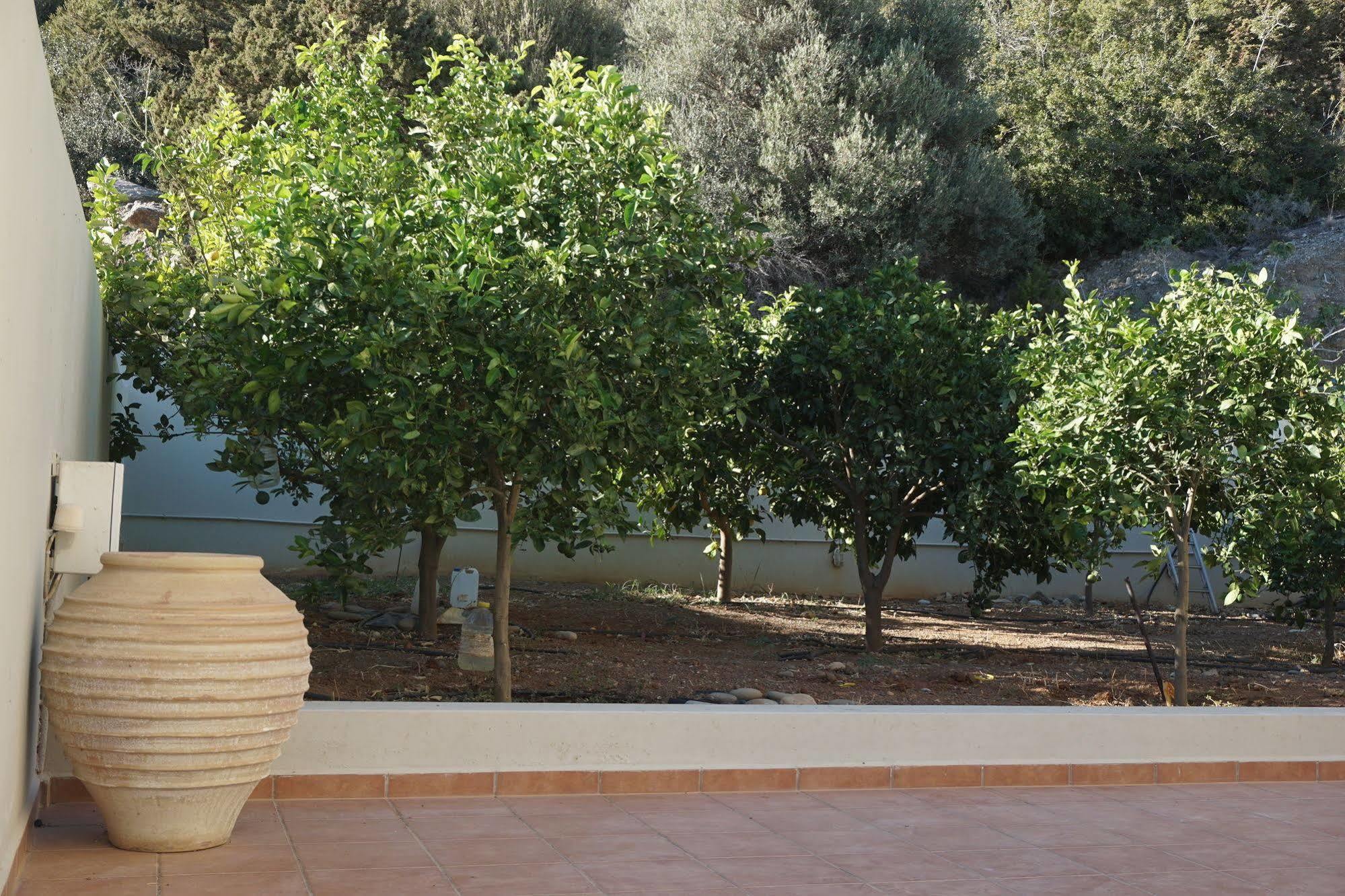Portela Apartments Kampoula كيراتوكامبوس المظهر الخارجي الصورة